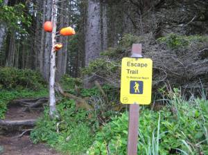vancouver-escape-trail1